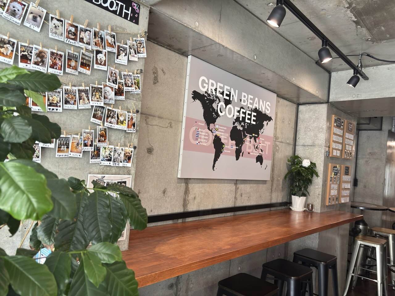 東京・北参道のコーヒー専門店で見つけた、コーヒーの木が癒す夏の紫外線疲れ回復習慣 | Green Beans Coffee 北参道