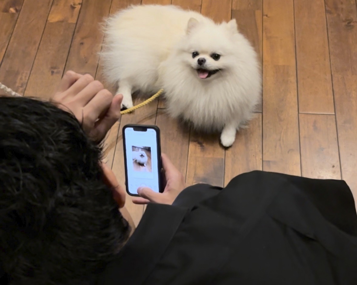 北参道・ダガヤサンドウで愛犬とカフェ：東京の貴重なペット店内同伴OK