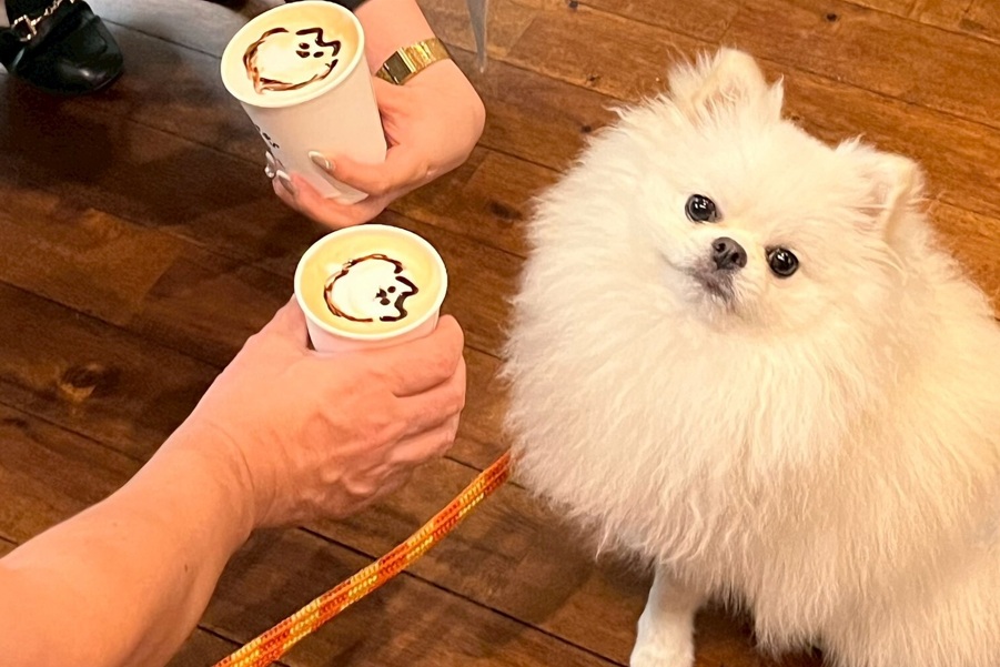 千駄ヶ谷を愛犬と散歩して北参道カフェで似顔絵ラテを楽しむ