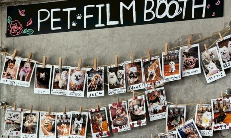 店内の壁に並ぶペットのチェキ写真、PET FILM BOOTHの展示ブース