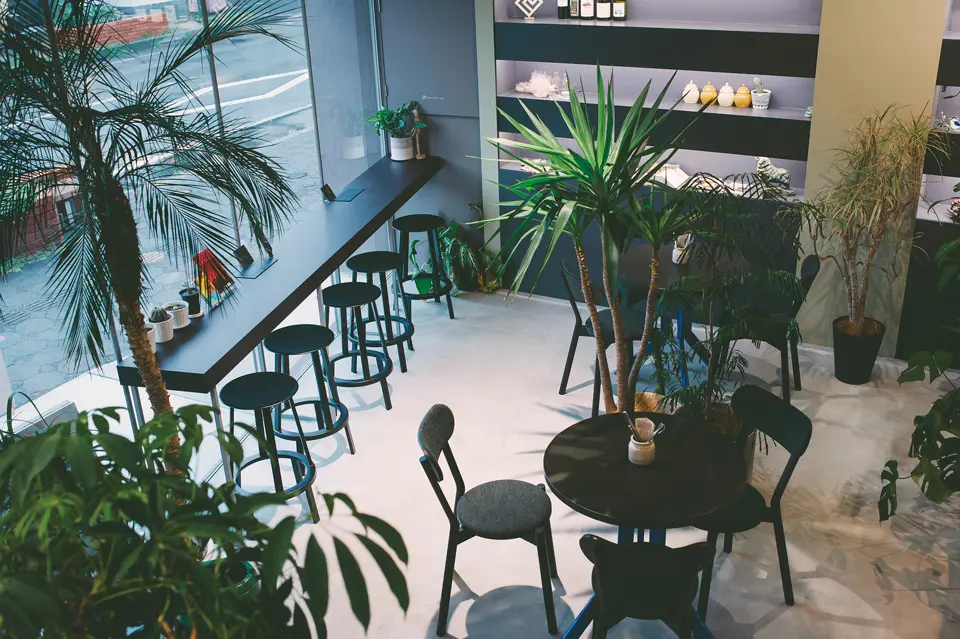 観葉植物に囲まれたカフェ店内の様子、パームツリーとカウンター席