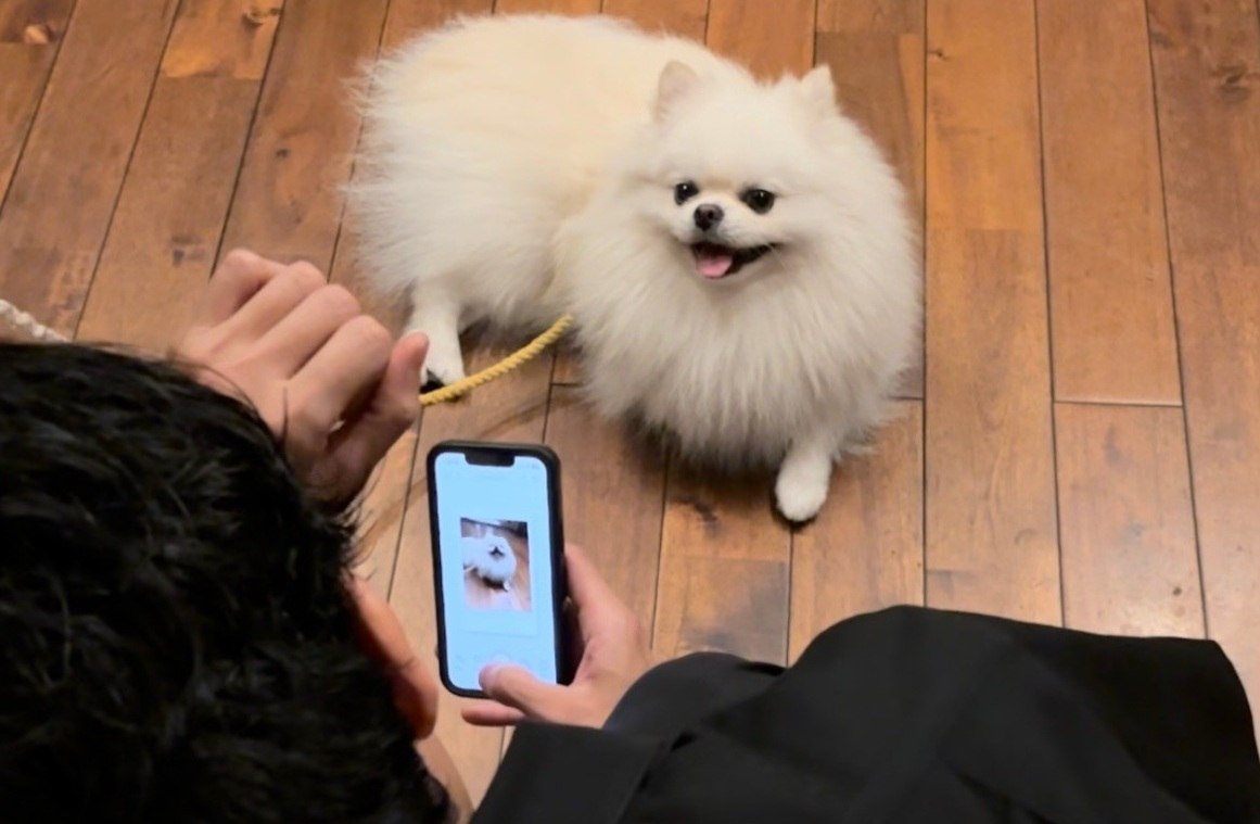 犬と入れるカフェとは？東京・渋谷区で愛犬と通うペット同伴カフェの選び方ガイド | Green Beans Coffee 北参道