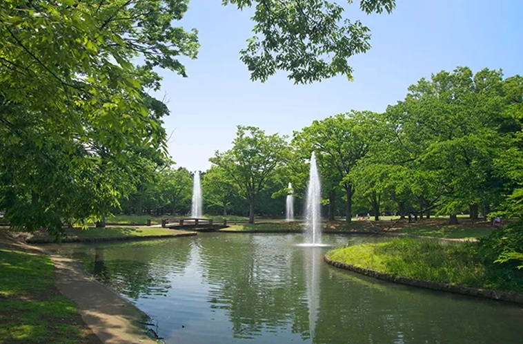 東京・ダガヤサンドウの夏の朝活、代々木公園を歩いてグリーンビーンズコーヒーで迎える朝 | Green Beans Coffee 北参道