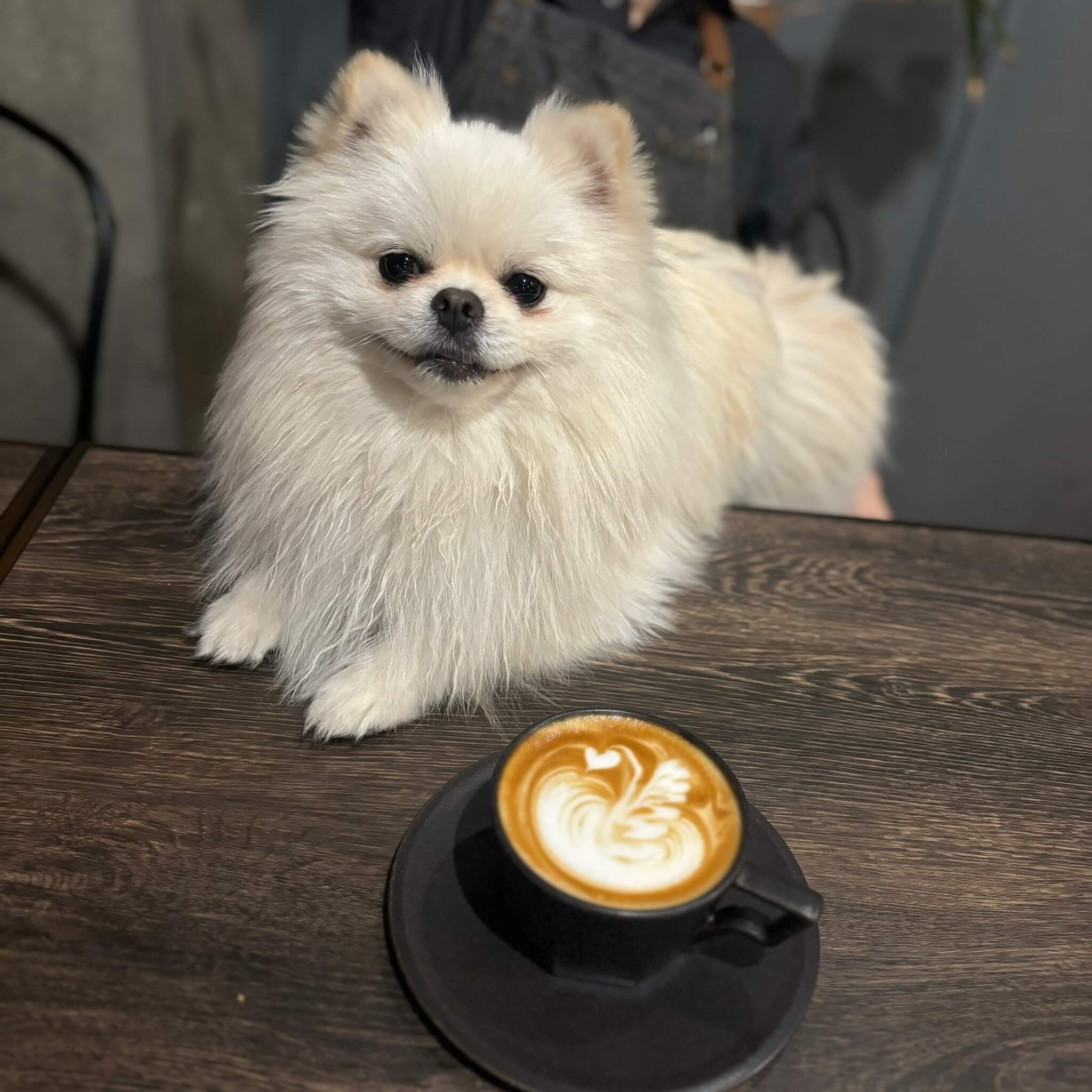 ペットフレンドリー1