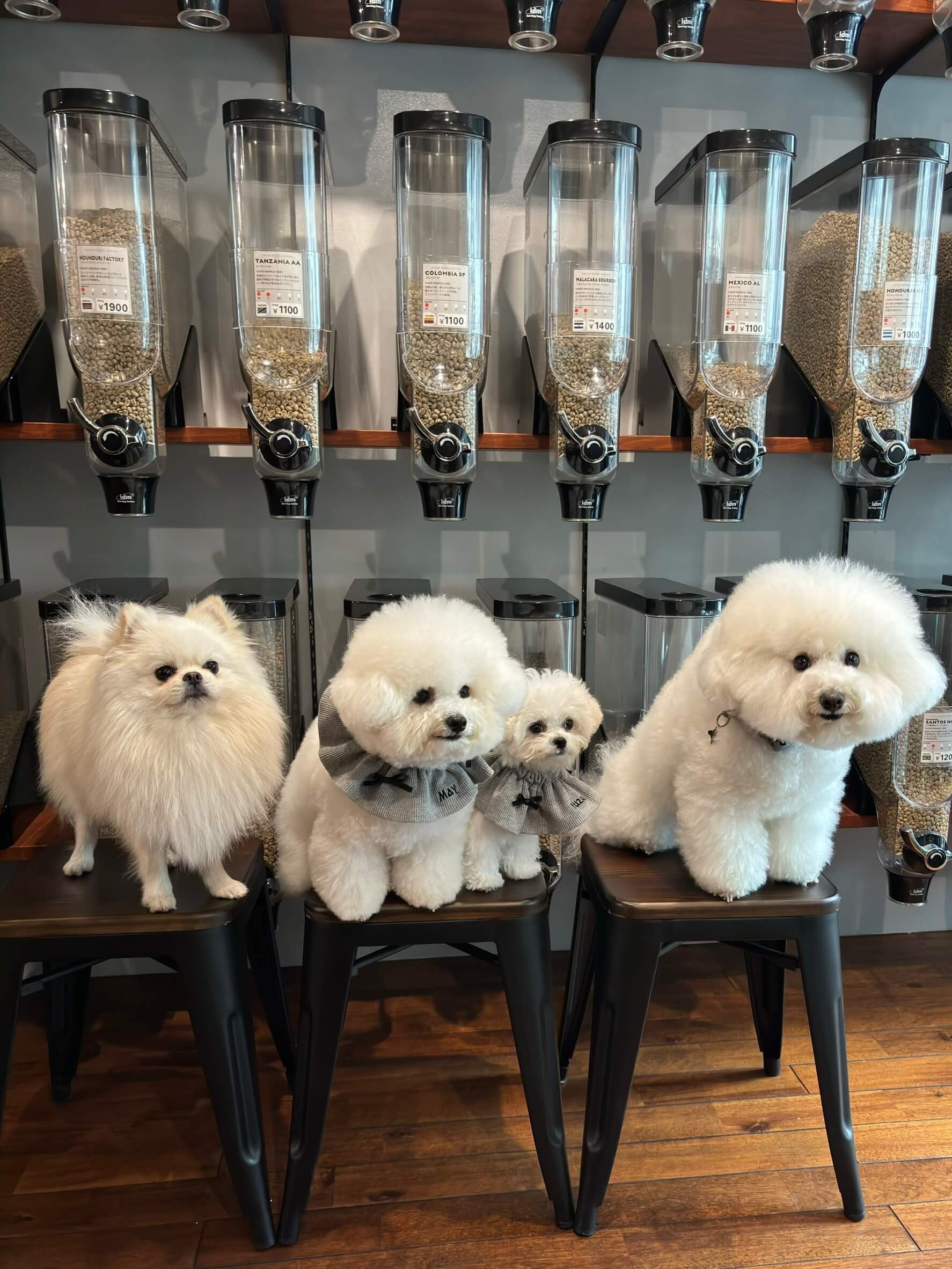 ペットフレンドリー2