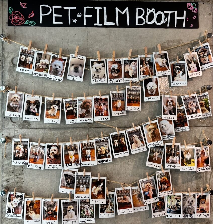 ペットフレンドリー3