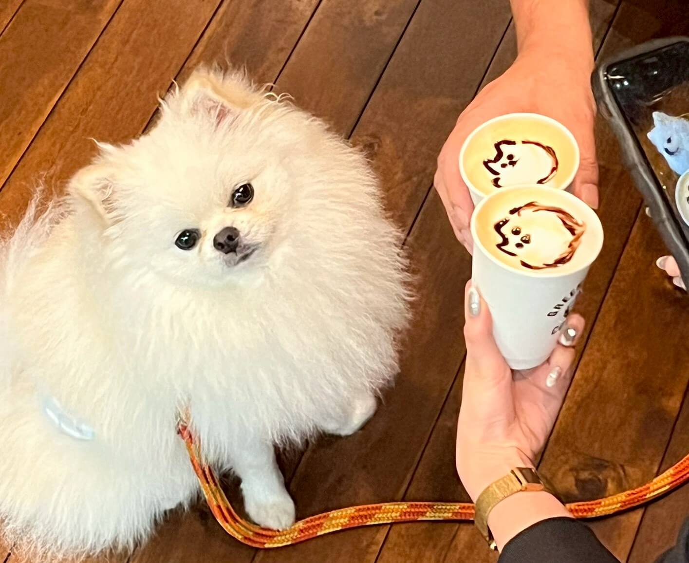 GBCスタッフとして働き始める - ポンと一緒に同伴出勤