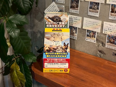 店内に設置された日本レスキュー協会の募金箱